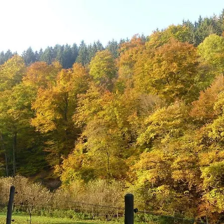 Vakantiehuis Neumuehle From April 2014! Lutzerath