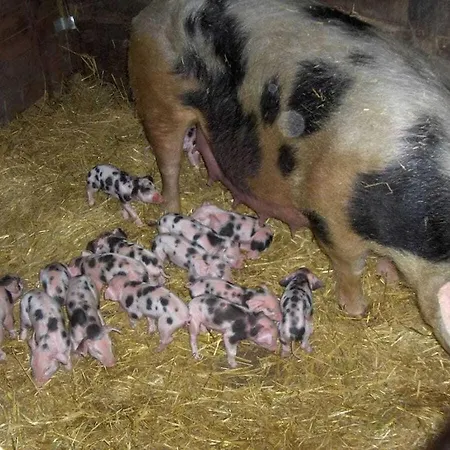 Neumuehle From April 2014! * Lutzerath