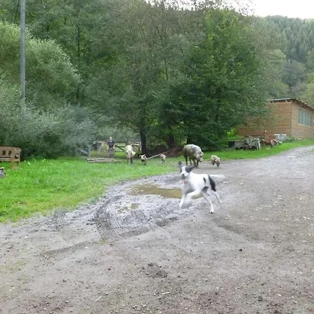 Neumuehle From April 2014! Lutzerath