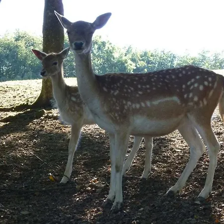 Neumuehle From April 2014! Vakantiehuis *