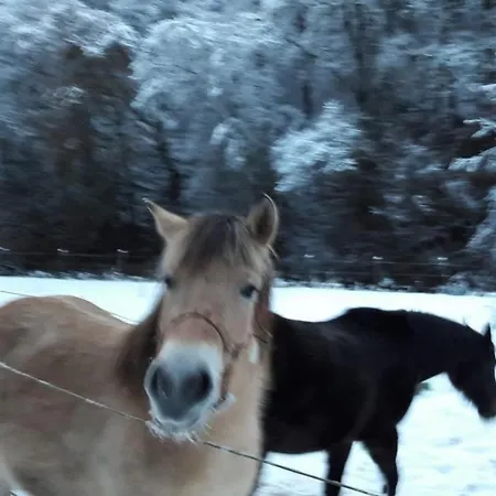 Neumuehle From April 2014! Vakantiehuis Lutzerath