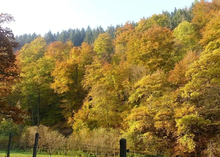 Ferienhaus Neumuehle From April 2014! Lutzerath