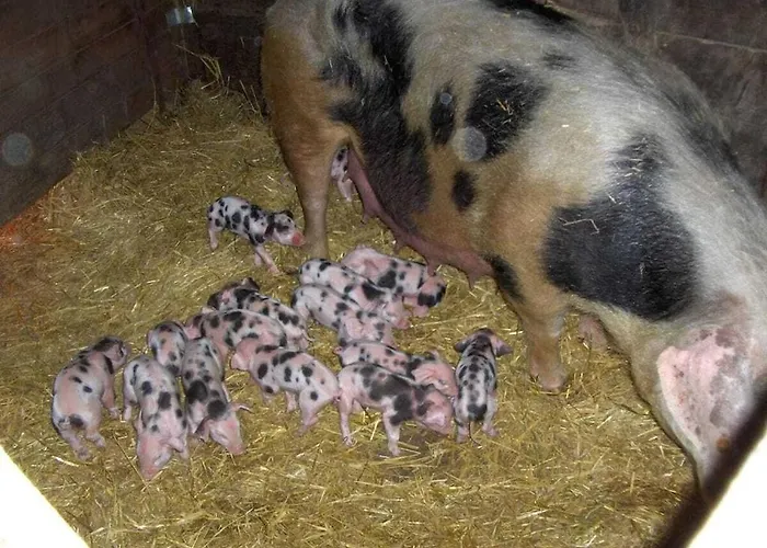 Neumuehle From April 2014! * Lutzerath