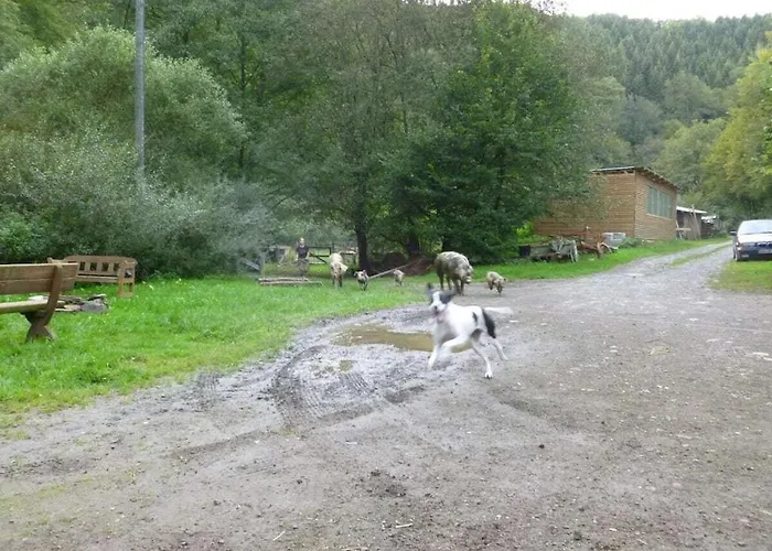 Neumuehle From April 2014! Lutzerath