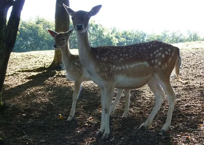 Neumuehle From April 2014! Semesterbostad *