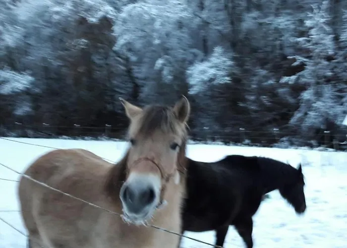 Neumuehle From April 2014! Ferienhaus Lutzerath